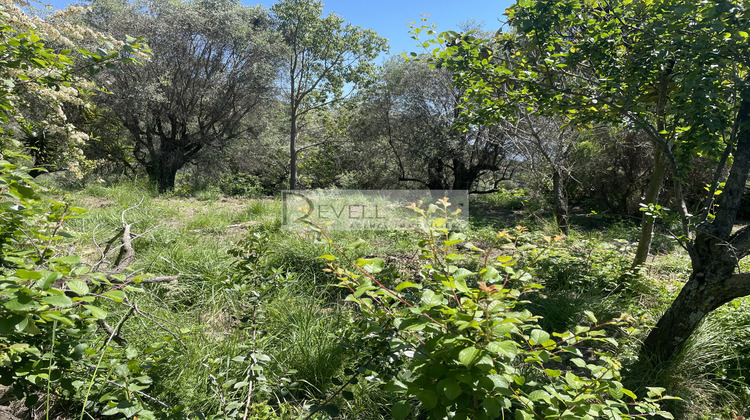 Ma-Cabane - Vente Terrain Nice, 1957 m²