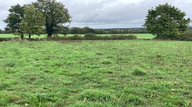 Ma-Cabane - Vente Terrain NIEUL LE DOLENT, 800 m²