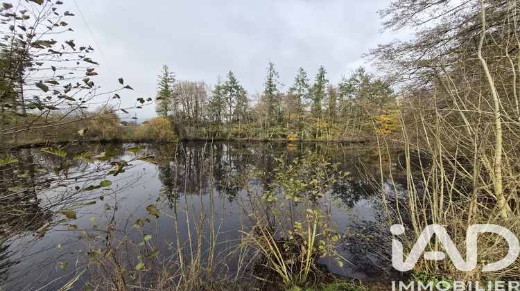 Ma-Cabane - Vente Terrain Nieul-le-Dolent, 5368 m²