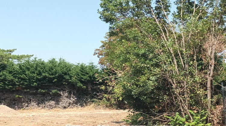 Ma-Cabane - Vente Terrain NIEUL SUR MER, 1261 m²