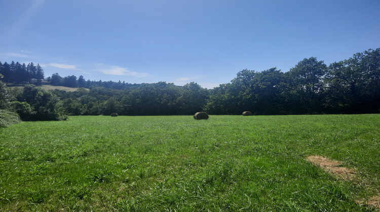 Ma-Cabane - Vente Terrain Noailhac, 7430 m²