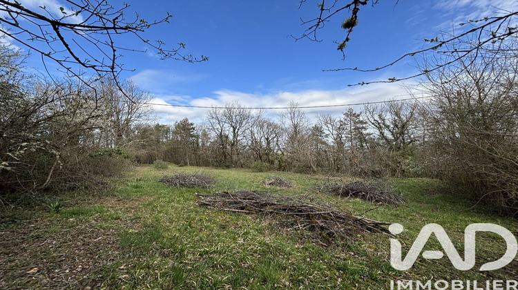 Ma-Cabane - Vente Terrain Noailles, 2530 m²