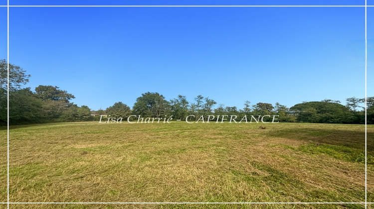 Ma-Cabane - Vente Terrain NOGARO, 10455 m²