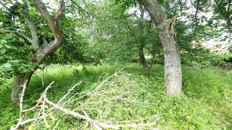 Ma-Cabane - Vente Terrain Nogent-le-Phaye, 940 m²