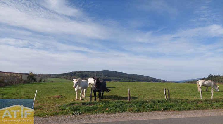 Ma-Cabane - Vente Terrain Noirétable, 1478 m²