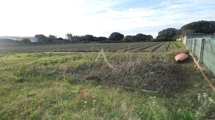 Ma-Cabane - Vente Terrain NOIRMOUTIER-EN-L'ILE, 1073 m²