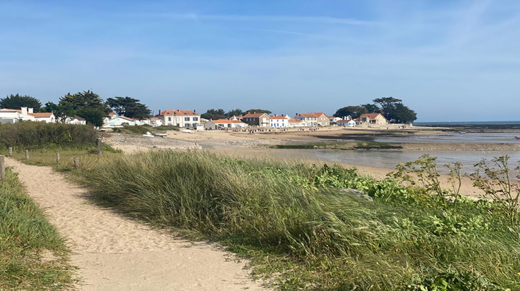 Ma-Cabane - Vente Terrain NOIRMOUTIER EN L ILE, 835 m²