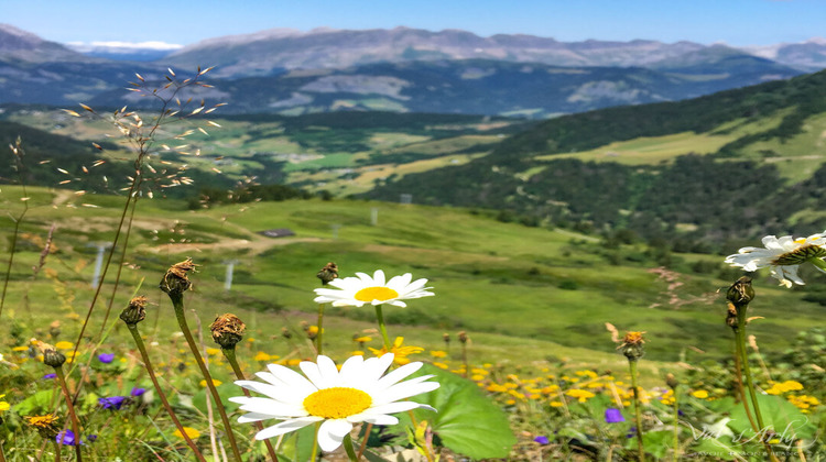 Ma-Cabane - Vente Terrain NOTRE-DAME-DE-BELLECOMBE, 605 m²