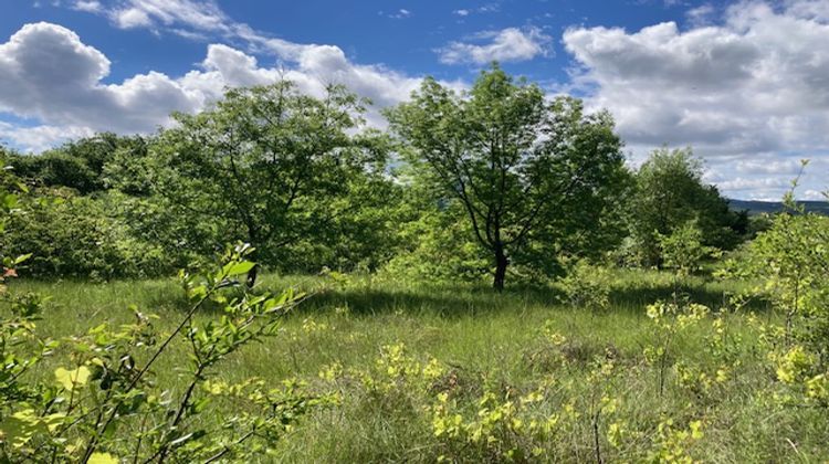 Ma-Cabane - Vente Terrain Notre-Dame-de-Londres, 3180 m²