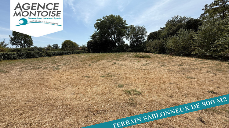 Ma-Cabane - Vente Terrain NOTRE-DAME-DE-MONTS, 800 m²