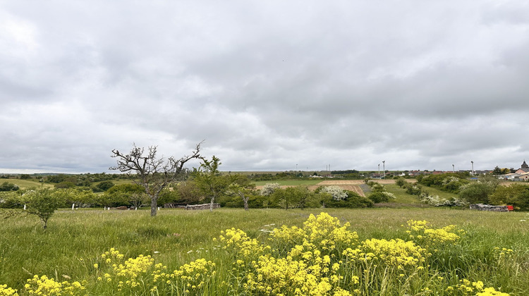 Ma-Cabane - Vente Terrain Nousseviller-Saint-Nabor, 1702 m²