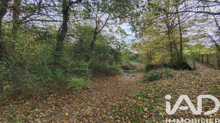 Ma-Cabane - Vente Terrain Nouvoitou, 6016 m²