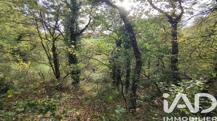 Ma-Cabane - Vente Terrain Nouvoitou, 6016 m²