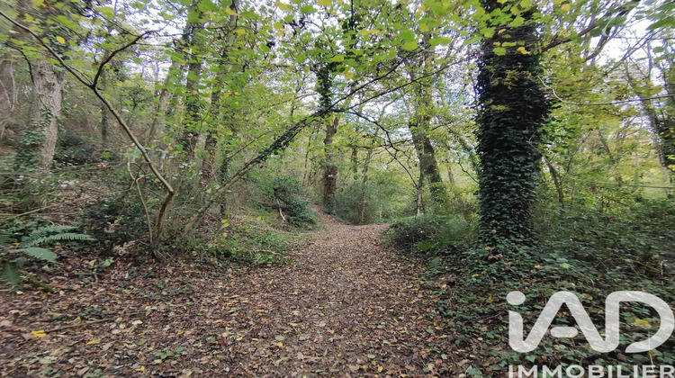 Ma-Cabane - Vente Terrain Nouvoitou, 6016 m²