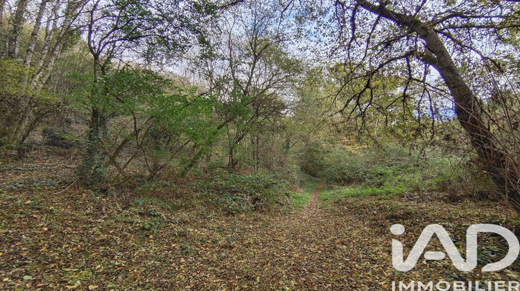 Ma-Cabane - Vente Terrain Nouvoitou, 6016 m²