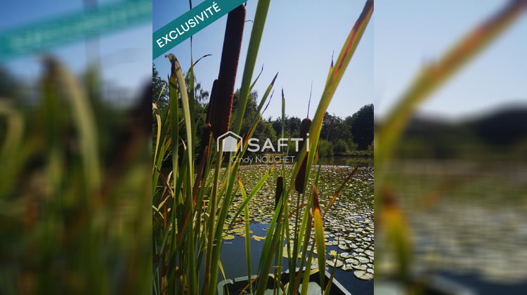 Ma-Cabane - Vente Terrain Noyen-sur-Sarthe, 9262 m²
