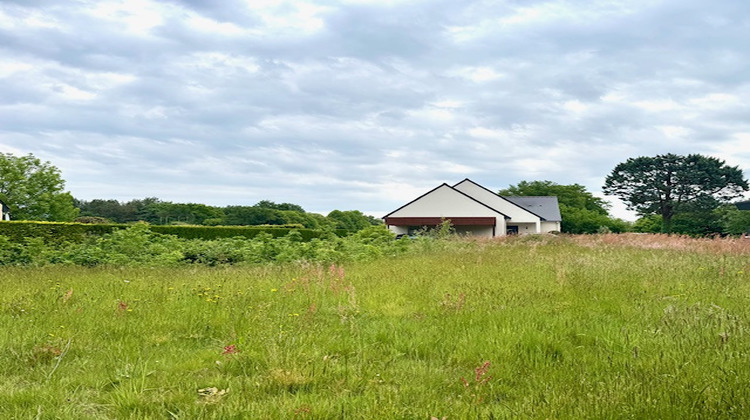 Ma-Cabane - Vente Terrain Nozay, 685 m²