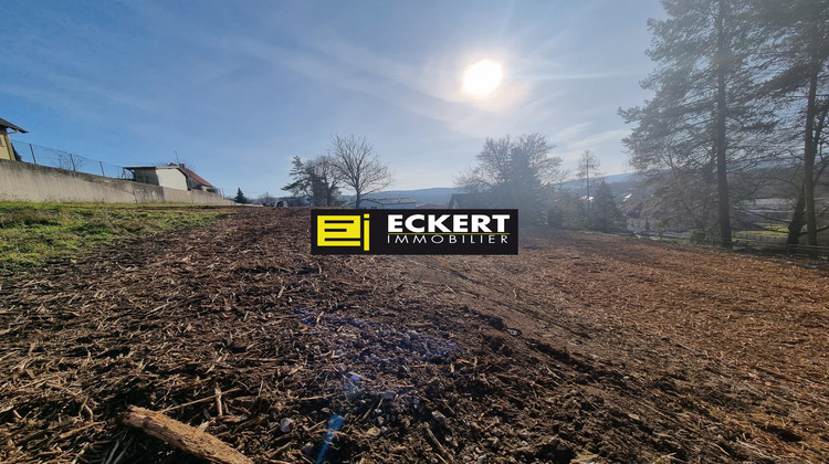 Ma-Cabane - Vente Terrain Oberhaslach, 2768 m²