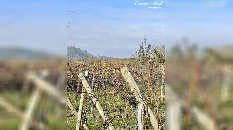 Ma-Cabane - Vente Terrain OBERMORSCHWIHR, 2112 m²