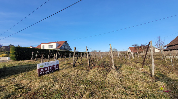 Ma-Cabane - Vente Terrain Obermorschwihr, 634 m²