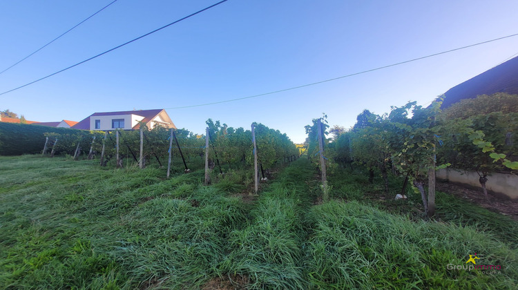 Ma-Cabane - Vente Terrain Obermorschwihr, 634 m²