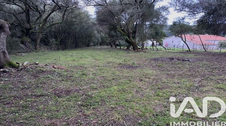 Ma-Cabane - Vente Terrain Ocana, 1452 m²