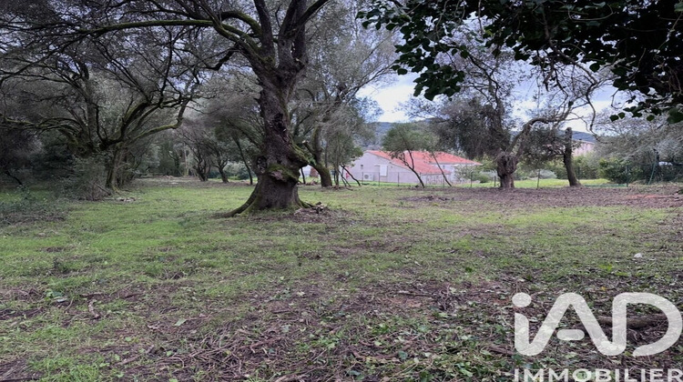 Ma-Cabane - Vente Terrain Ocana, 1452 m²