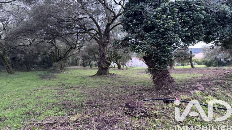 Ma-Cabane - Vente Terrain Ocana, 1452 m²