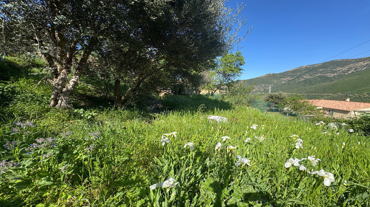 Ma-Cabane - Vente Terrain OCCHIATANA, 623 m²