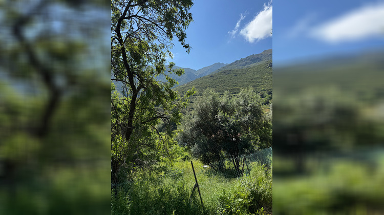 Ma-Cabane - Vente Terrain OCCHIATANA, 623 m²