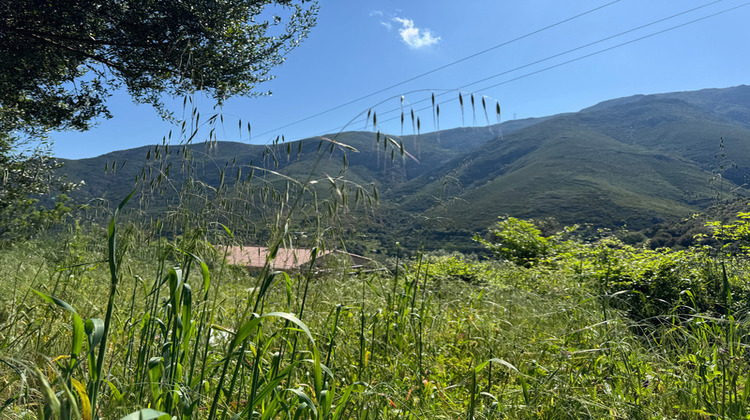 Ma-Cabane - Vente Terrain OCCHIATANA, 623 m²