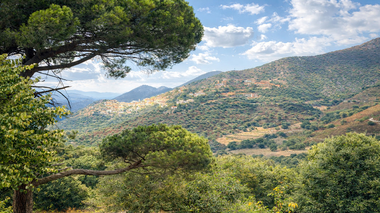 Ma-Cabane - Vente Terrain OCCHIATANA, 2457 m²