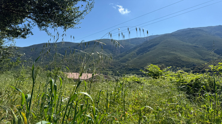 Ma-Cabane - Vente Terrain OCCHIATANA, 623 m²