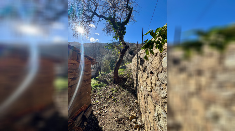 Ma-Cabane - Vente Terrain OCCHIATANA, 623 m²