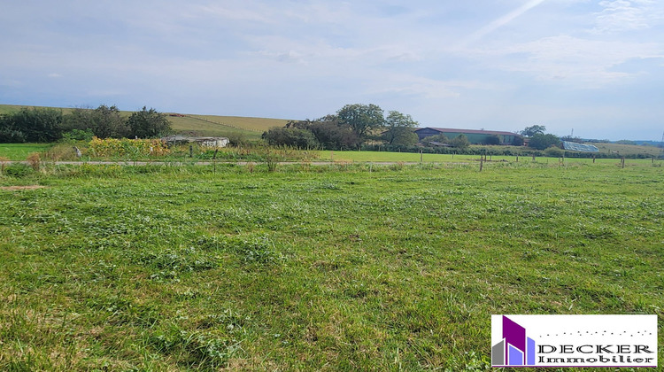 Ma-Cabane - Vente Terrain Offwiller, 568 m²