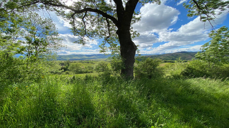Ma-Cabane - Vente Terrain Oingt, 1742 m²