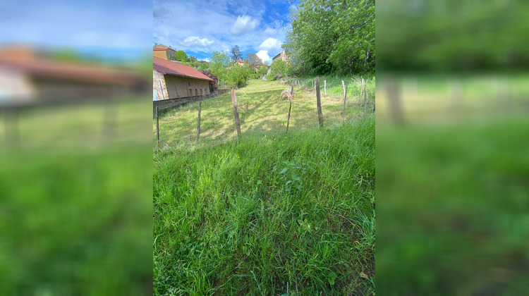 Ma-Cabane - Vente Terrain Oingt, 1742 m²