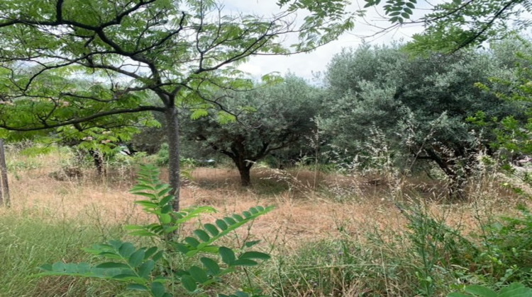 Ma-Cabane - Vente Terrain Ollioules, 500 m²