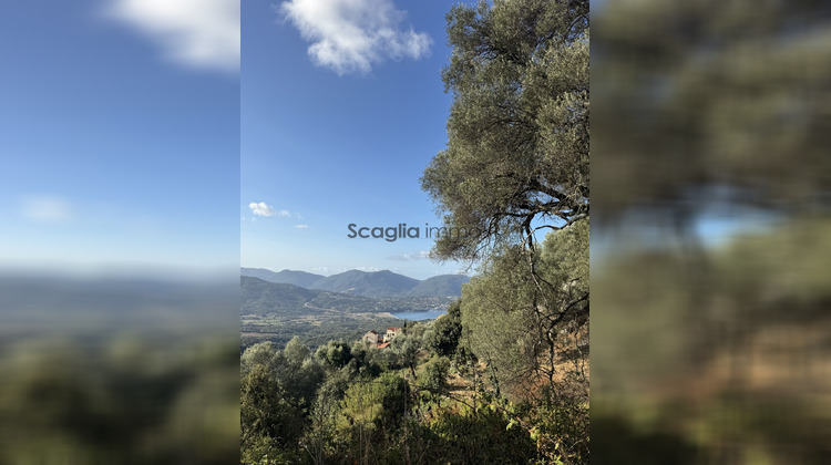 Ma-Cabane - Vente Terrain Olmeto, 1124 m²