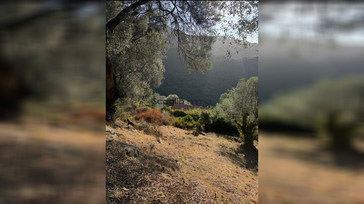 Ma-Cabane - Vente Terrain Olmeto, 1124 m²