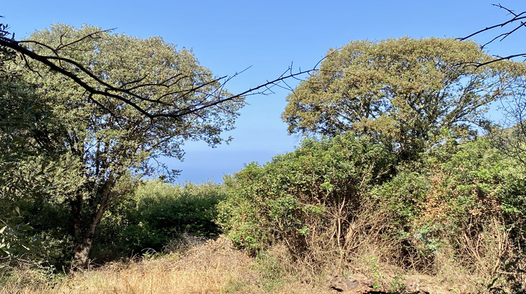 Ma-Cabane - Vente Terrain Olmeto, 7644 m²