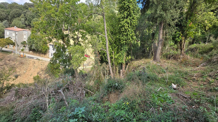 Ma-Cabane - Vente Terrain Olmiccia, 3095 m²