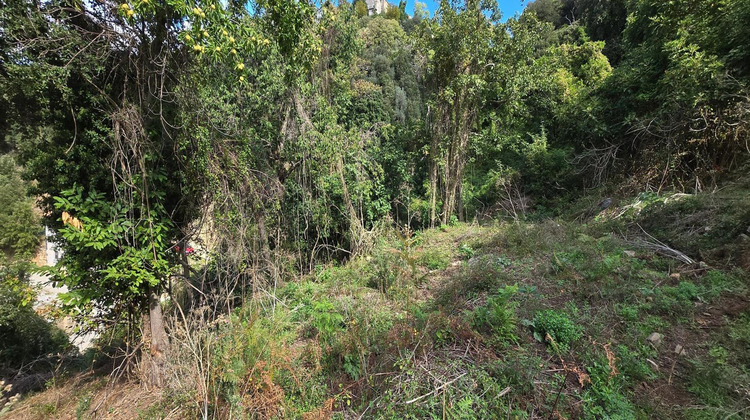 Ma-Cabane - Vente Terrain Olmiccia, 3095 m²