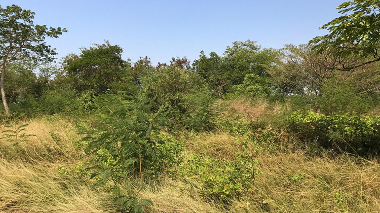 Ma-Cabane - Vente Terrain Ortaffa, 1549 m²