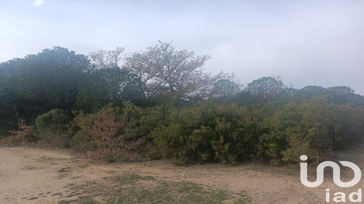 Ma-Cabane - Vente Terrain Ortaffa, 7442 m²