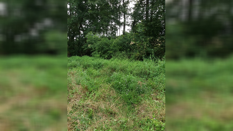 Ma-Cabane - Vente Terrain ORTHEZ, 15070 m²