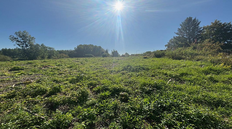 Ma-Cabane - Vente Terrain ORTILLON, 5500 m²