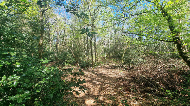 Ma-Cabane - Vente Terrain ORVAULT, 3637 m²