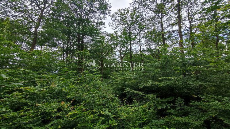 Ma-Cabane - Vente Terrain Orvaux, 1900 m²