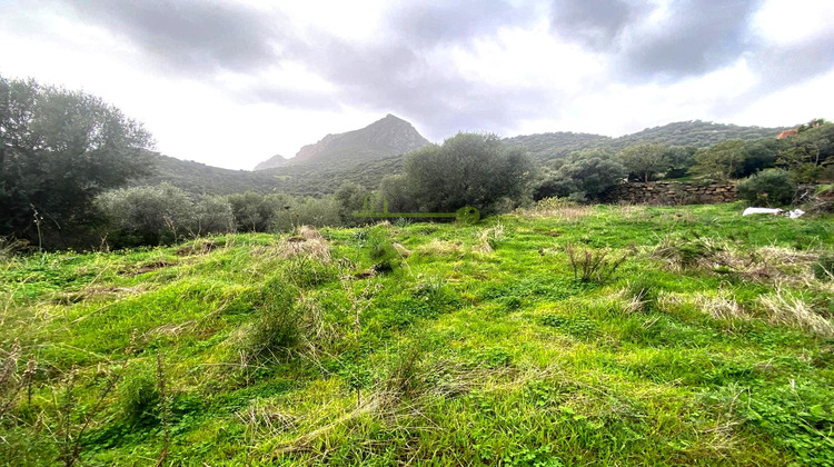 Ma-Cabane - Vente Terrain Osani, 0 m²